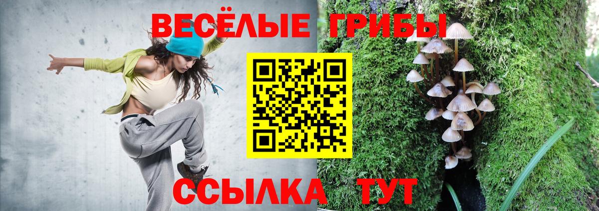 Галлюциногенные грибы Cubensis  Вход с VPN  цены   Галлюциногенные грибы MAGIC MUSHROOMS  Урюпинск 